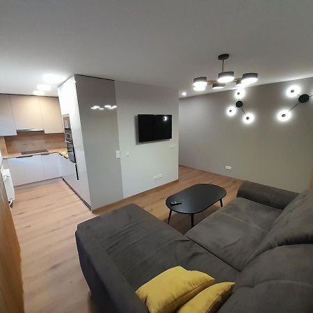 Vytes Apartamentai Каунас Экстерьер фото